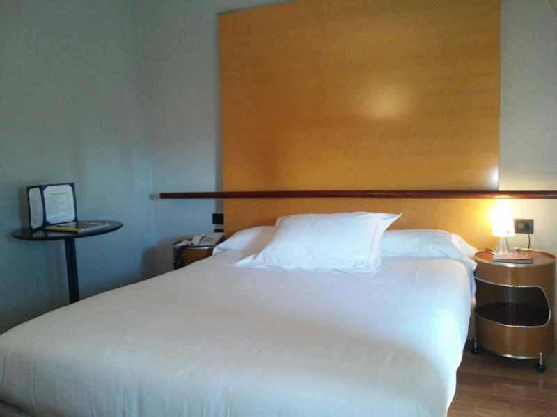 Hotel Occidental Alfonso V Lleó